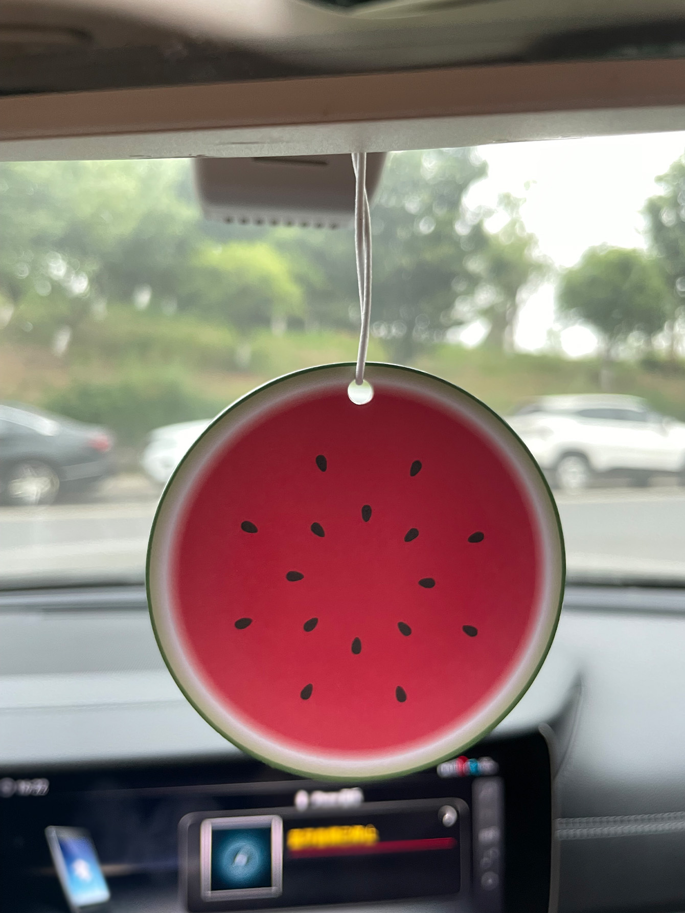 Watermelon/Freesia Fresh Scent - Bathroom Home Essentials Store のレビューと価格
