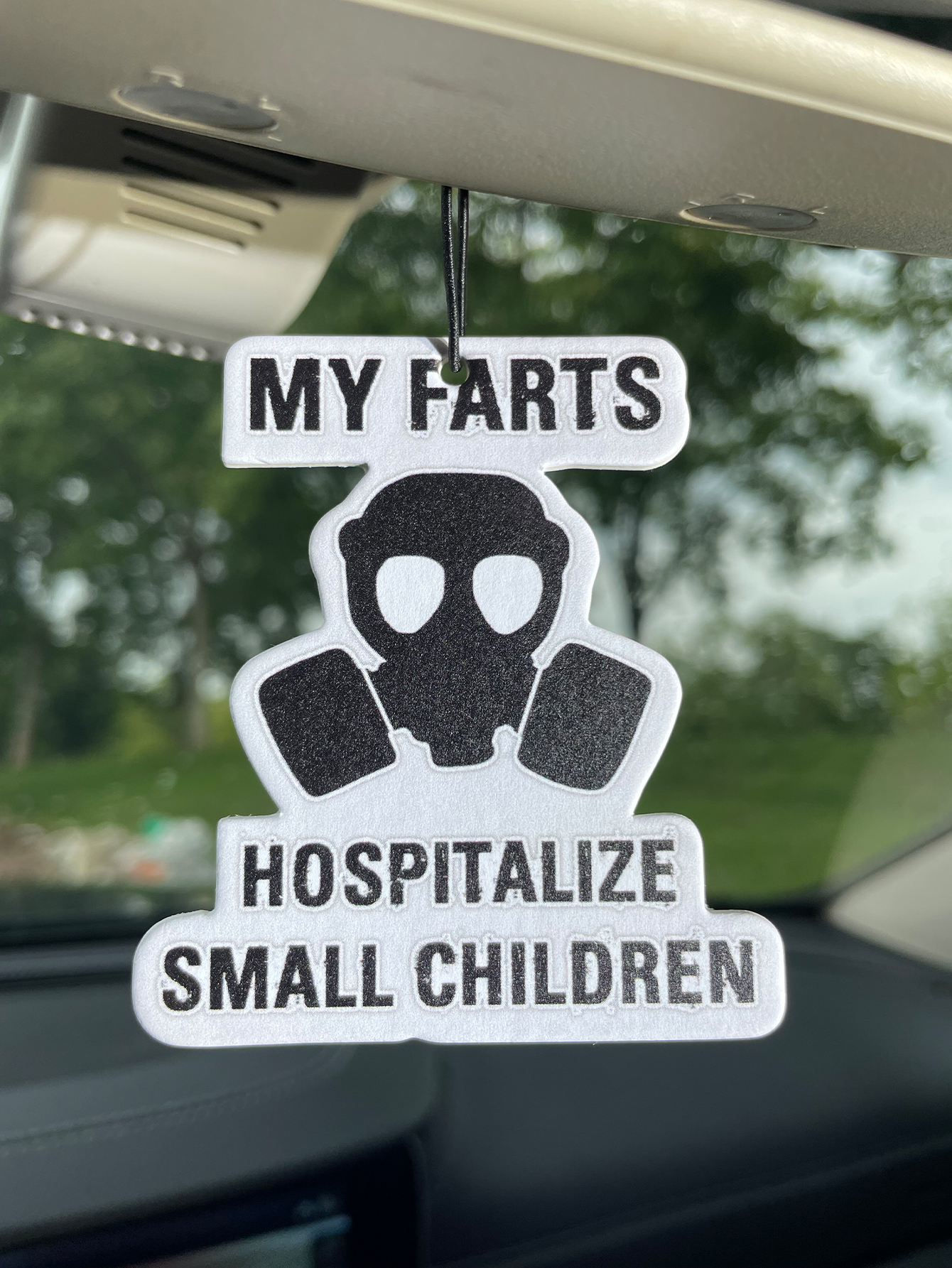 My Farts Hospita/Hilton Fresh  - Bathroom Home Essentials Store のレビューと価格