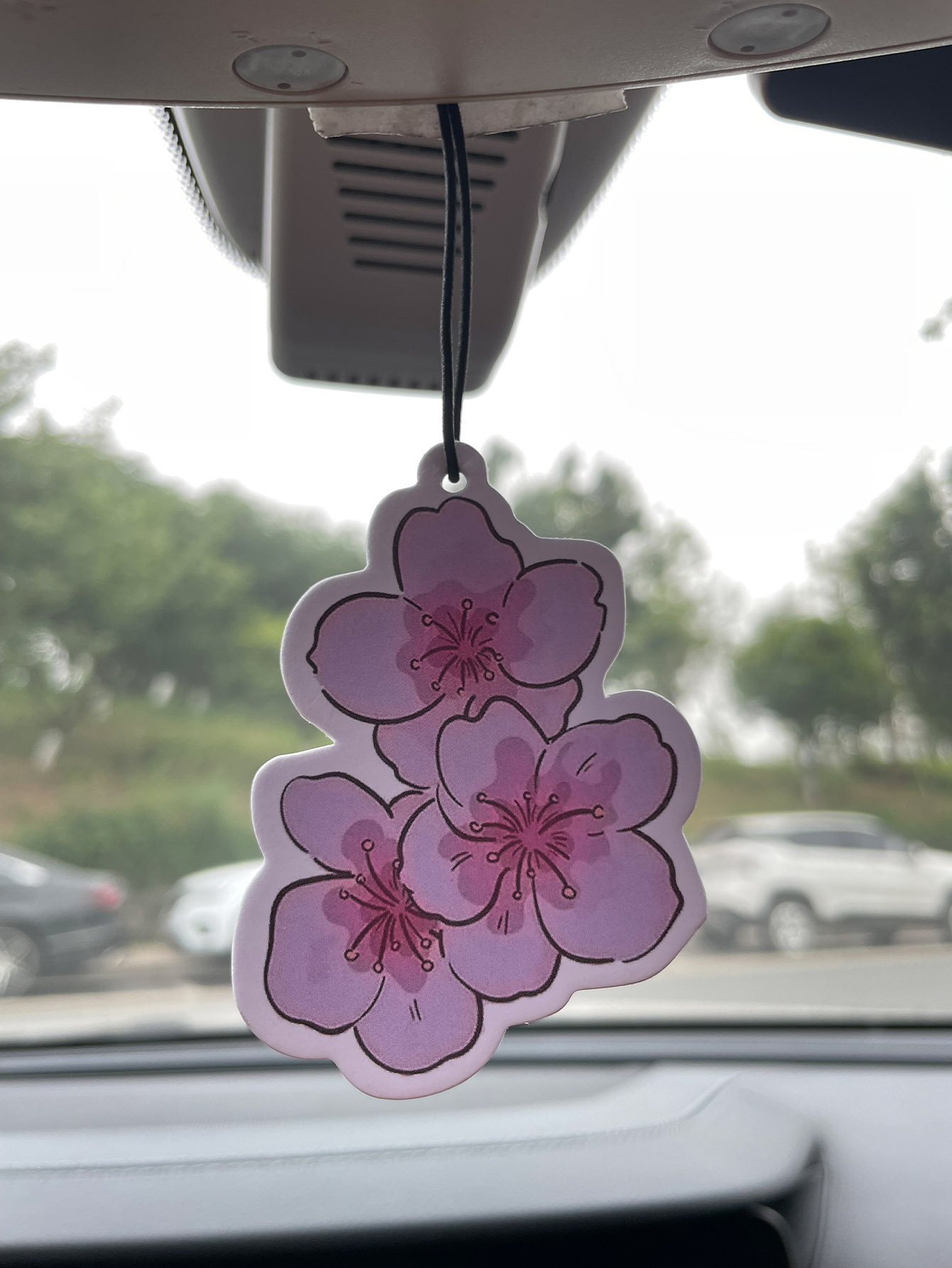 Sakura/Freesia Fresh Scent Fiv - Bathroom Home Essentials Store のレビューと価格